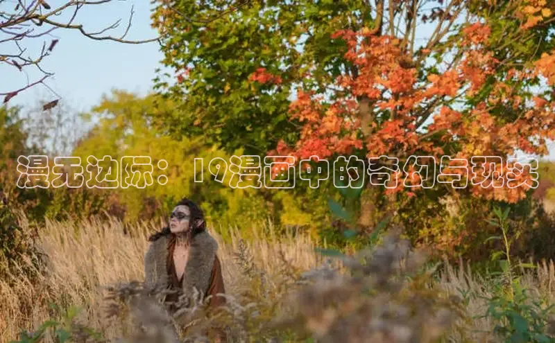 五一动画网页版